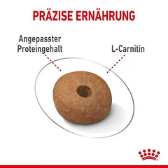Royal Canin Medium Light Weight Care sausas maistas šunims, > 10 kg — 5 nuotrauka