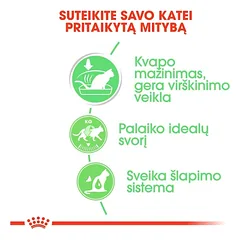 Royal Canin Digest Sensitive šlapias maistas katėms 12x85 — 2 nuotrauka