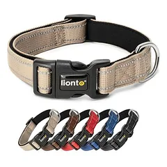 lionto Hundehalsband aus Nylon, gepolstert, 360° reflektierend
