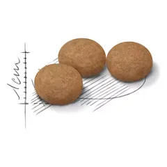 ROYAL CANIN FHN Cat Sterilised 12+ sausas maistas vyresnio amžiaus sterilizuotoms katėms 2 kg — 2 nuotrauka