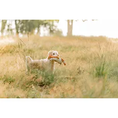 TRIXIE Surikata, pliušas, 40 cm (pak.3) — 5 nuotrauka
