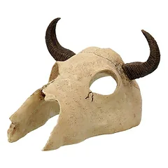 Repti Planet Buffalo Skull terariumo dekoras, buivolo kaukolė, 12,5×11,8×8 cm