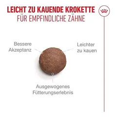 Royal Canin Ageing 15+ sausas maistas katėms, 3 - 4,9 kg — 3 nuotrauka