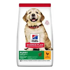 Hills Science Plan Dog Puppy Large Breed with chicken 16kg