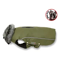 Wolters Winterjacke Amundsen für Mops & Co. olive