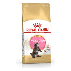 ROYAL CANIN FBN Cat Maine Coon Kitten sausas maistas Meino meškėnų veislės kačiukams 10 kg