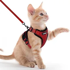 Rotes, ausbruchsicheres Katzengeschirr XXS – Reflektierend – Für