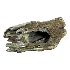 Dekoracija akvariumui Medžio drevė, 30x15x12 cm