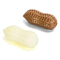 Nobleza guminis riešutas žaislas šunims, 12x5,5 cm