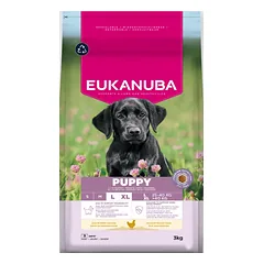 Eukanuba Life Care Puppy Large sausas maistas didelių veislių šuniukams su vištiena, 3 kg