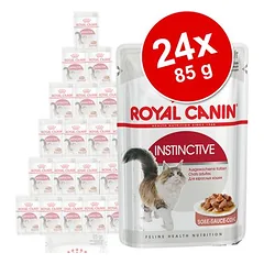 Royal Canin drėgnas maistas katėms, ekonominė pakuotė 24 x 85 g