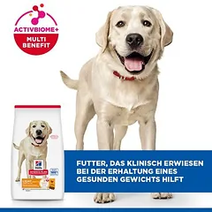Hill's Science Plan Adult Light Large Breed su vištiena, sausas maistas šunims — 4 nuotrauka