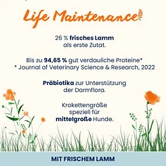 Almo Nature Life Maintenance Adult su ėriena ir ryžiais Medium, sausas maistas šunims — 2 nuotrauka