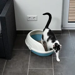 TIAKI kraiko dėžė Cobby, Dideliems > 5 kg — 3 nuotrauka