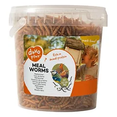 Duvo+ Mehlwürmer 200 g