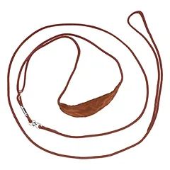 Show Tech Silk Show Led 0.3x100cm - professional show lead for dogs, for exhibition presentation