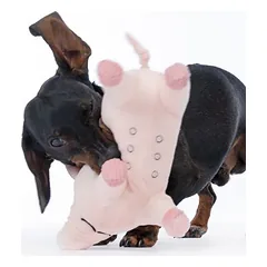 TIAKI pliušinis žaislas šunims Oink, apie L 25,5 x B 7 x H 14 cm — 5 nuotrauka
