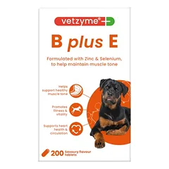 VETZYME B+E papildas šunims N200