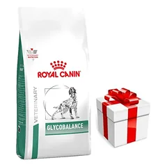 ROYAL CANIN Glycobalance 12 kg + Staigmena ŠUNIUI