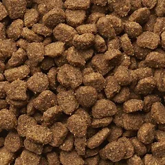 IAMS Cat Adult Hairball Chicken sausas maistas suaugusioms katėms su vištiena plaukų kamuoliukų kontrolei, 10 kg — 2 nuotrauka