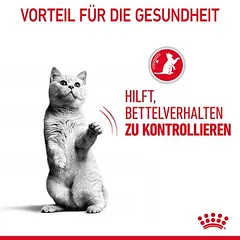 Royal Canin Appetite Control Care drebučiuose, drėgnas maistas katėms — 5 nuotrauka