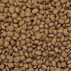 Tropidog Premium Adult Small su lašiša, sausas maistas šunims — 2 nuotrauka