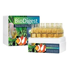 Prodibio BioDigest ampulė 1vnt