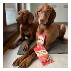 SOOPA Mango ir aviečių lazdelės šunims, Mango & Raspberry Dog Dental Sticks, 100g — 4 nuotrauka