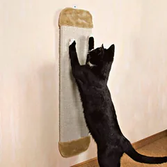 Trixie Scratching Board XL sieninis nagų draskyklė katėms su sizalio paviršiumi ir katžole, 18×78 cm — 2 nuotrauka