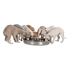 Trixie Puppy Bowl nerūdijančio plieno dubenėlis šuniukams su centriniu iškilimu, 4.0 l, 38 cm — 2 nuotrauka