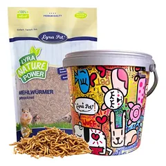 Lyra Pet® miltiniai vabalai 10 l dizaino kibire, 1 x 10 L — 1 nuotrauka