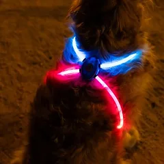 Nomad Tales Spirit USB LED petnešos šunims, Vienas dydis: iki 90 cm krūtinės apimtis — 3 nuotrauka