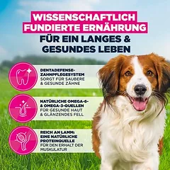 Eukanuba Premium Nutrition Adult Small & Medium Breed su ėriena ir ryžiais, sausas maistas šunims, 3 - 4,9 kg — 5 nuotrauka