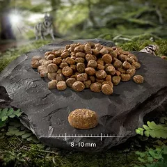Wolf of Wilderness MINI "Blue River" – su lašiša, sausas maistas šunims — 3 nuotrauka