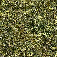 Hugro Moosplatten, Hugro Moosplatten ca. 30 cm, 2 Platten — 2 nuotrauka