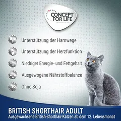 Concept for Life British Shorthair Adult (ragu kokybės), drėgnas maistas katėms — 2 nuotrauka
