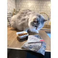 Platinum MeatCrisp sausas pašaras sterilizuotoms katėms su žuvimi, 1.5kg — 3 nuotrauka