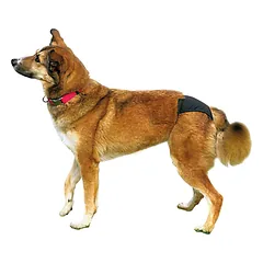 Trixie Protective Pants šunų higieninės kelnaitės rujojimo metu, S-M, 32-39 cm — 3 nuotrauka