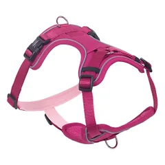 Nobby Mailo rožinės petnešos šuniui, S, 23–35 cm