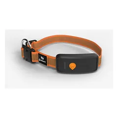 Weenect XT Orange GPS sekiklis šunims (su antkakliu) — 4 nuotrauka