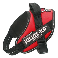 Julius K-9 IDC Powerharness petnešos šunims (raudona)