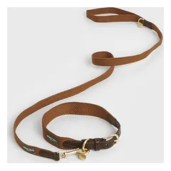 Nomad Tales Bloom antkaklis šunims, caramel, Dydis XL: 52–58 cm kaklo apimtis, 38 mm pločio — 5 nuotrauka
