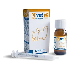 GIVET gelis 60 ml nuotrauka