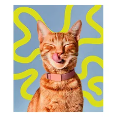 Amanova Cat Creamy Treats Ocean Blend skanėstai katėms 6 x 15 g — 3 nuotrauka