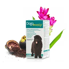 DOGOTEKA DOGOmaxy 60 tabl.