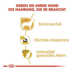 Royal Canin Yorkshire Terrier Adult sausas maistas šunims, 3 - 4,9 kg — 4 nuotrauka