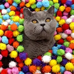 MCBOSON 3 cm Plüsch-Katzenspielzeug, 20 Stück