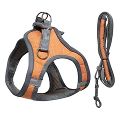 Petnešos šunims M 48-55cm Oranžinės