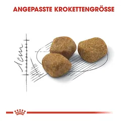 Royal Canin Indoor 7+ sausas maistas katėms, 3 - 4,9 kg — 3 nuotrauka