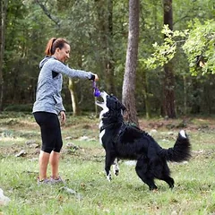 Virbac Veterinary HPM Dog Joint & Mobility J1, sausas maistas šunims — 5 nuotrauka